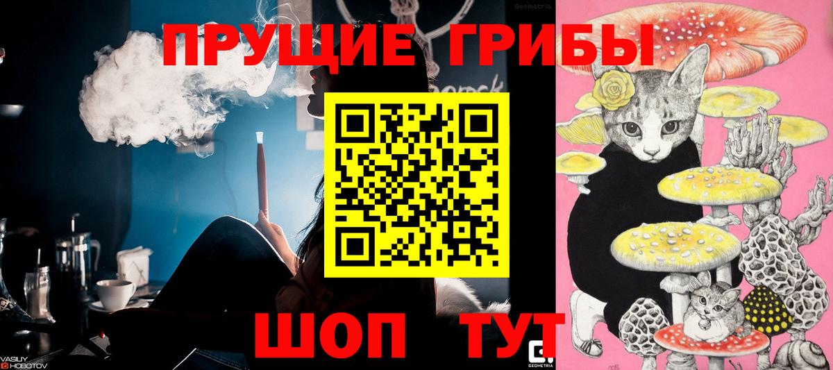Галлюциногенные грибы Psilocybe  магазин продажи наркотиков  Галлюциногенные грибы MAGIC MUSHROOMS  Кизилюрт  Вход с VPN 